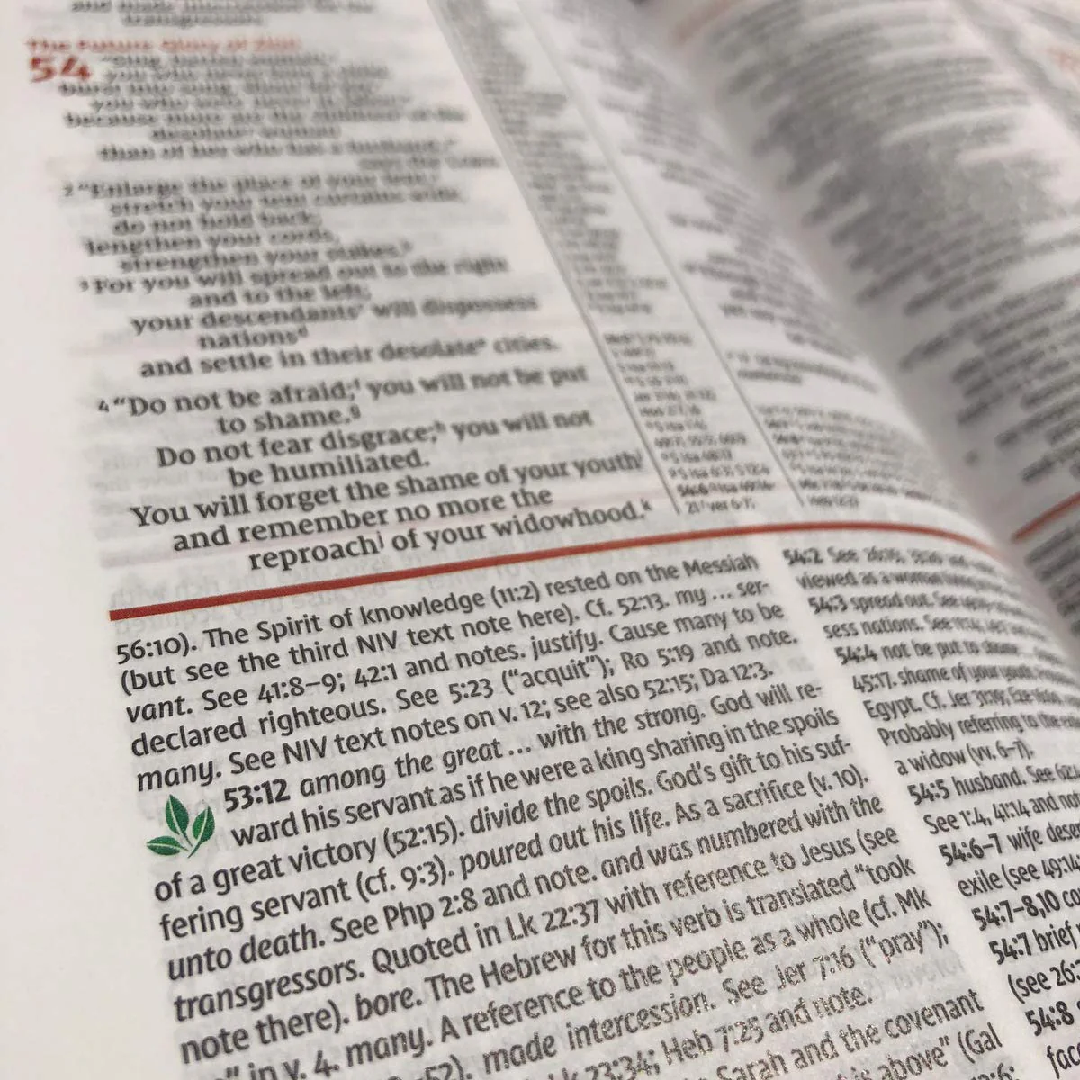 NIV Study Bible, Fully Revised Edition, Personal Size, Red Letter, Comfort Print - Image 17