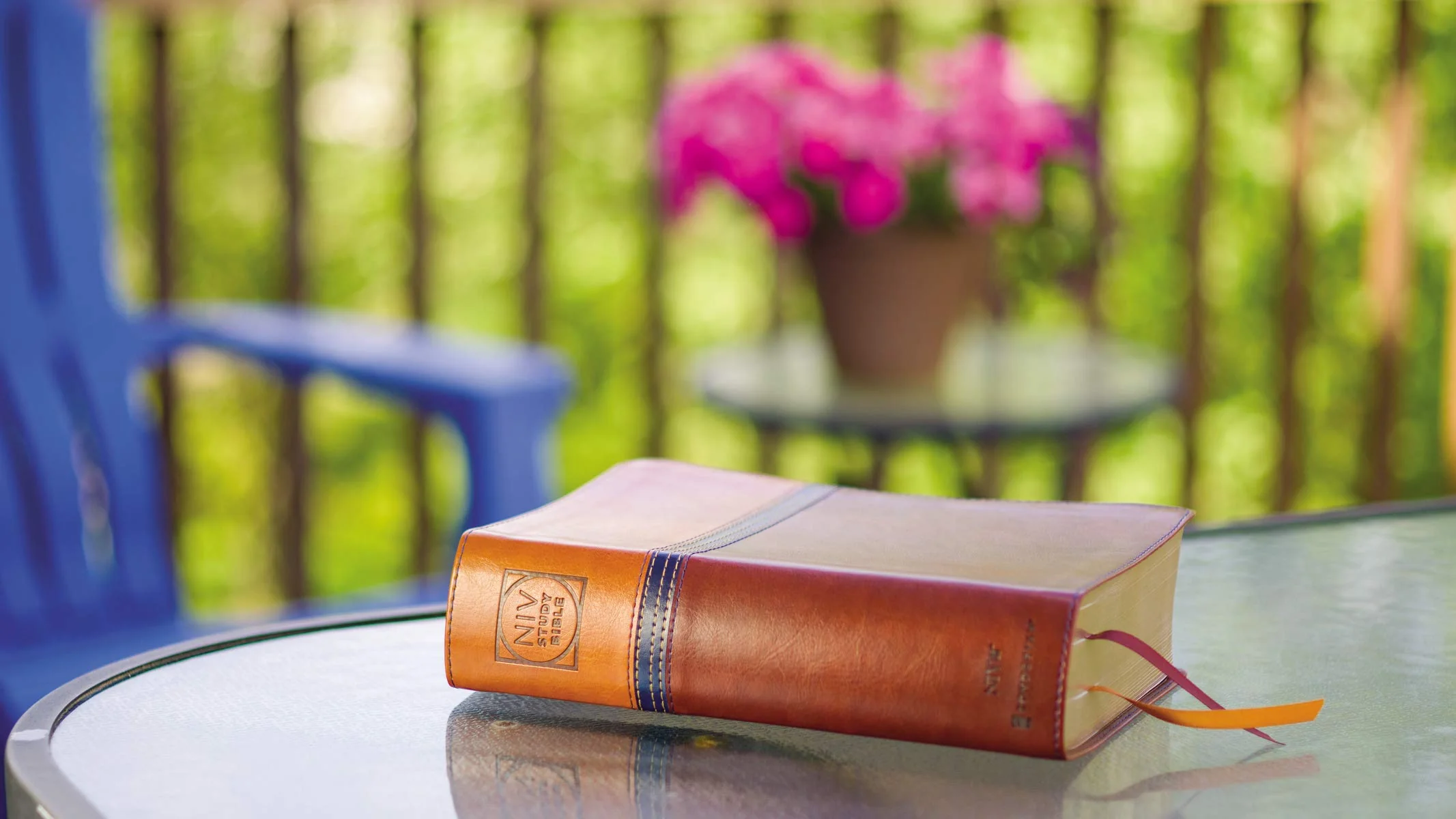 NIV Study Bible, Fully Revised Edition, Personal Size, Red Letter, Comfort Print - Image 34