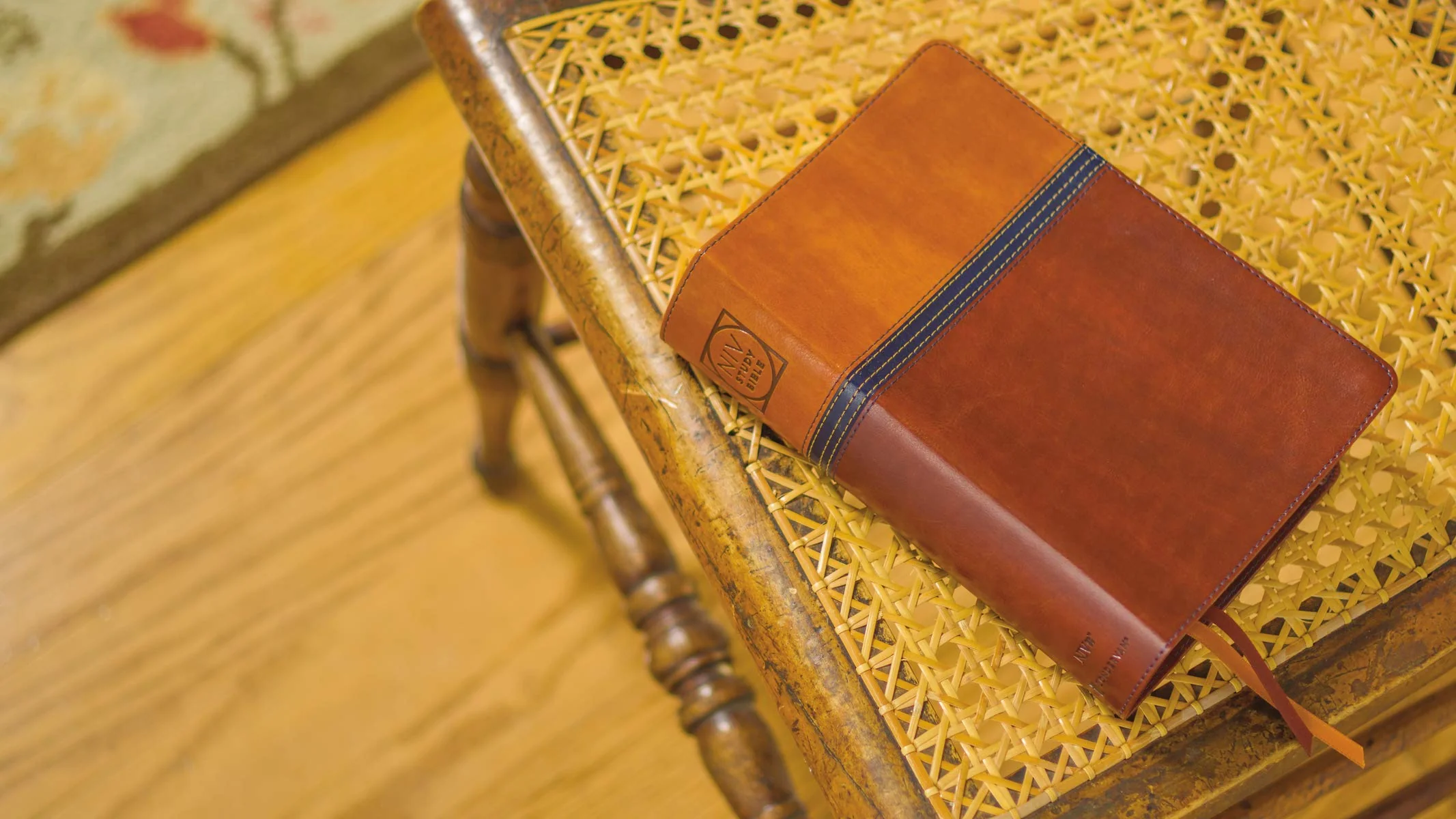 NIV Study Bible, Fully Revised Edition, Personal Size, Red Letter, Comfort Print - Image 7