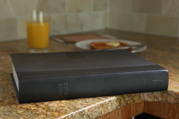 NIV, Super Giant Print Reference Bible, Red Letter Edition, Comfort Print - Image 15