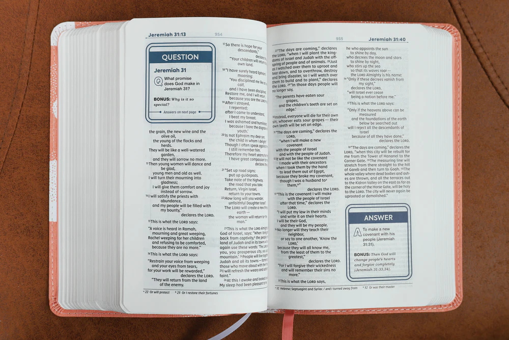 NIV, Teen Study Bible, Compact, Comfort Print - Image 24