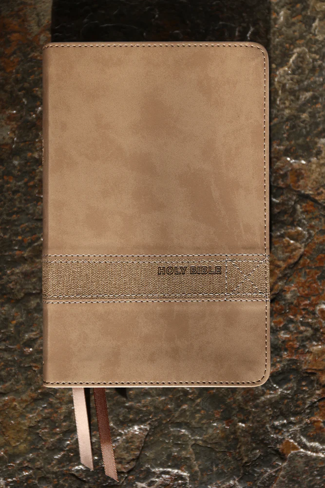 NIV, Teen Study Bible, Compact, Comfort Print - Image 3