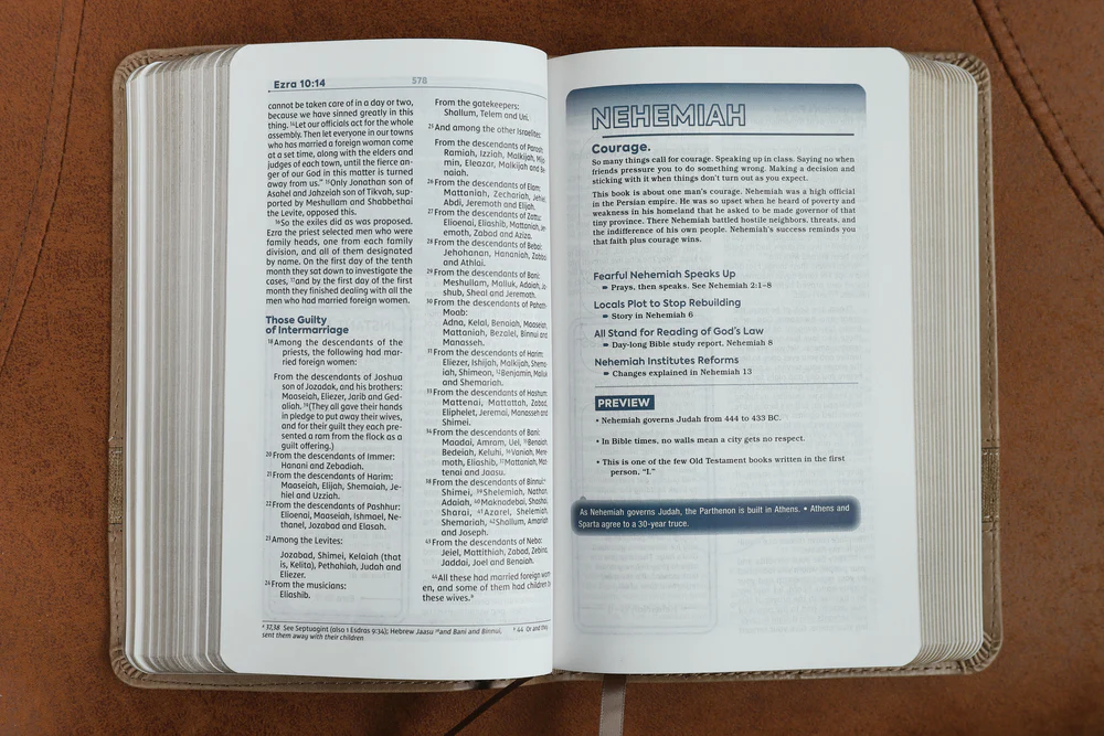 NIV, Teen Study Bible, Compact, Comfort Print - Image 9