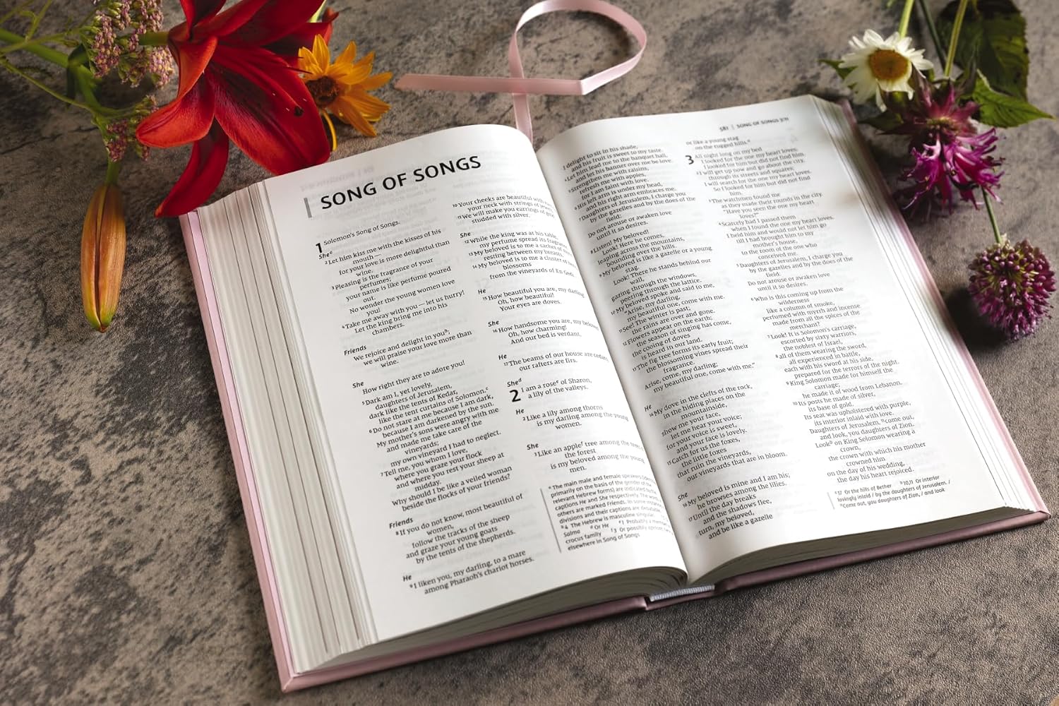 NIV, The Busy Mom's Bible, Red Letter Edition, Comfort Print: Daily Inspiration Even If You Only Have One Minute - Image 11