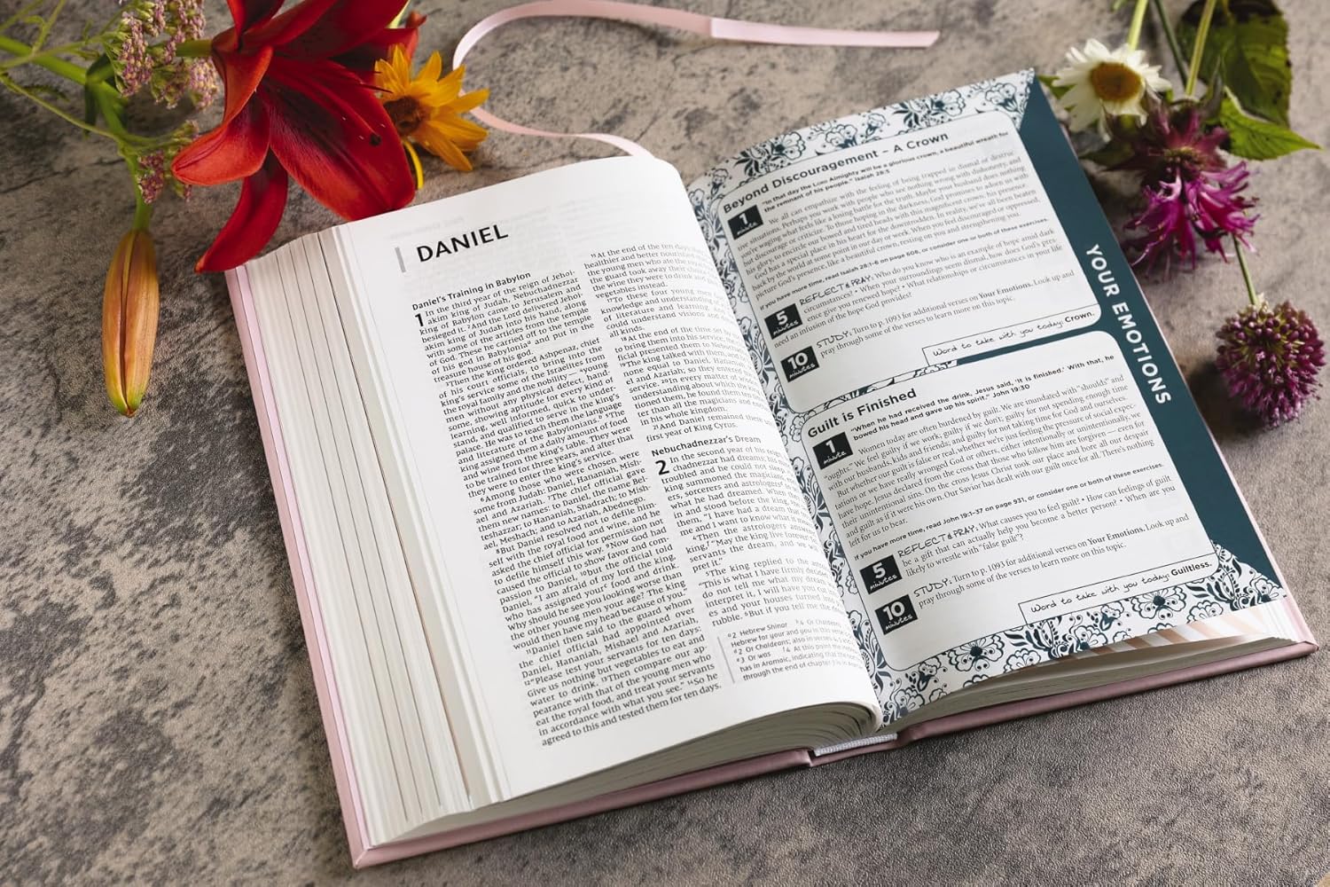NIV, The Busy Mom's Bible, Red Letter Edition, Comfort Print: Daily Inspiration Even If You Only Have One Minute - Image 12