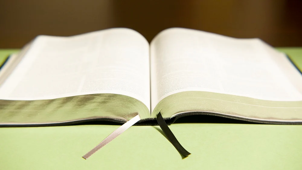 NIV, The Grace and Truth Study Bible, Red Letter, Comfort Print - Image 21
