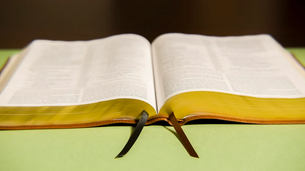 NIV, The Grace and Truth Study Bible, Red Letter, Comfort Print - Image 29