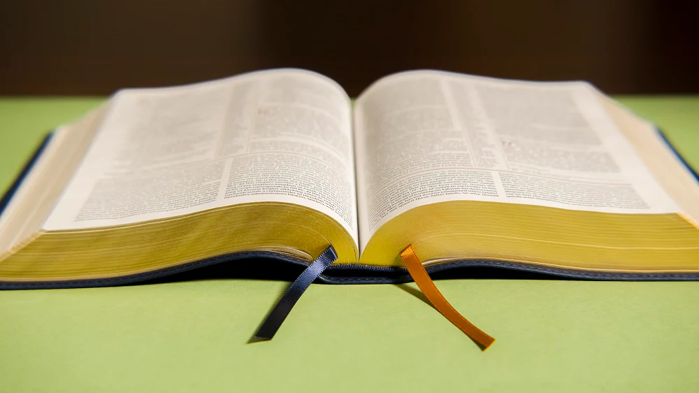NIV, The Grace and Truth Study Bible, Red Letter, Comfort Print - Image 36