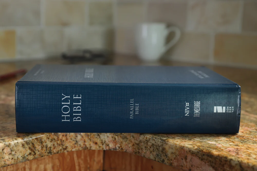 NIV, The Message Side-by-Side Bible: Two Bible Versions Together for Study and Comparison - Image 3