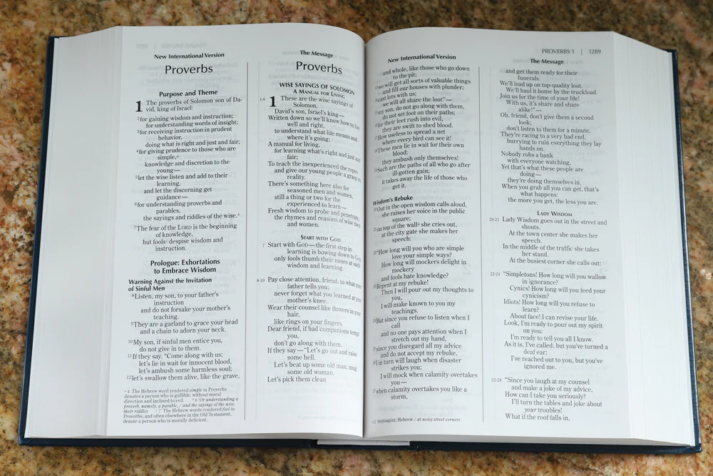NIV, The Message Side-by-Side Bible: Two Bible Versions Together for Study and Comparison - Image 5