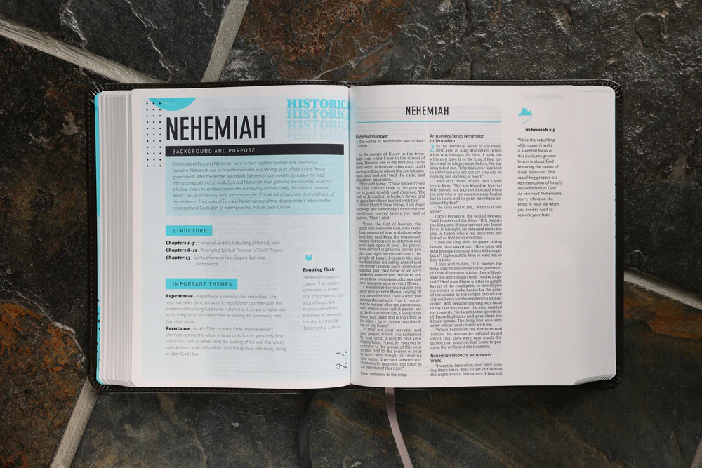 NIV, The Telos Bible, Comfort Print: A Student’s Guide Through Scripture - Image 35
