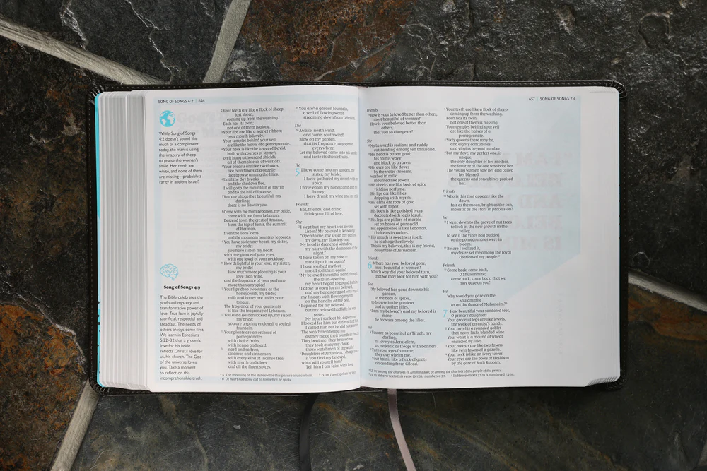 NIV, The Telos Bible, Comfort Print: A Student’s Guide Through Scripture - Image 37