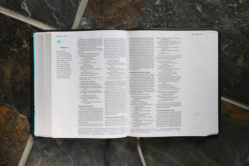 NIV, The Telos Bible, Comfort Print: A Student’s Guide Through Scripture - Image 38