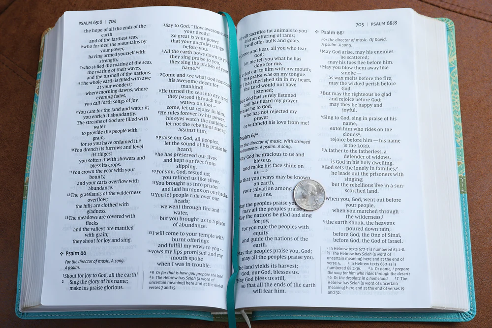NIV, Thinline Bible, Giant Print, Red Letter, Comfort Print - Image 10