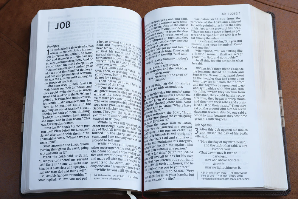 NIV, Thinline Bible, Giant Print, Red Letter, Comfort Print - Image 15