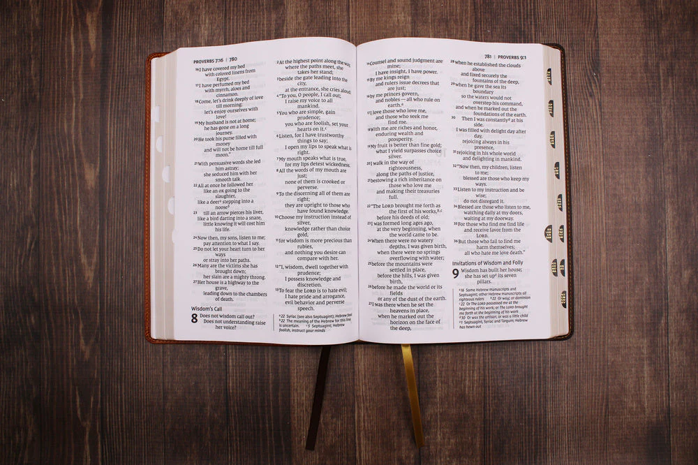 NIV, Thinline Bible, Giant Print, Red Letter, Comfort Print - Image 49