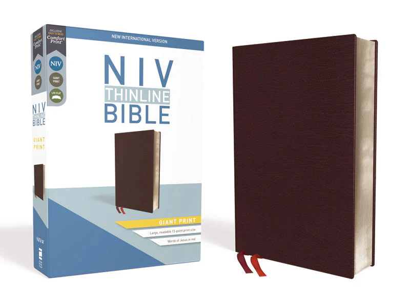 NIV, Thinline Bible, Giant Print, Red Letter, Comfort Print - Image 51