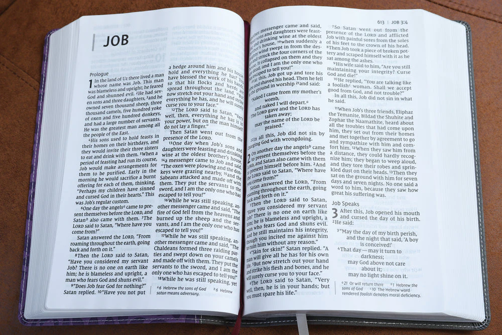 NIV, Thinline Bible, Giant Print, Red Letter, Comfort Print - Image 69