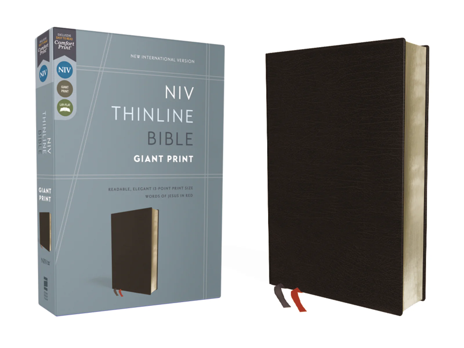 NIV, Thinline Bible, Giant Print, Red Letter, Comfort Print - Image 74
