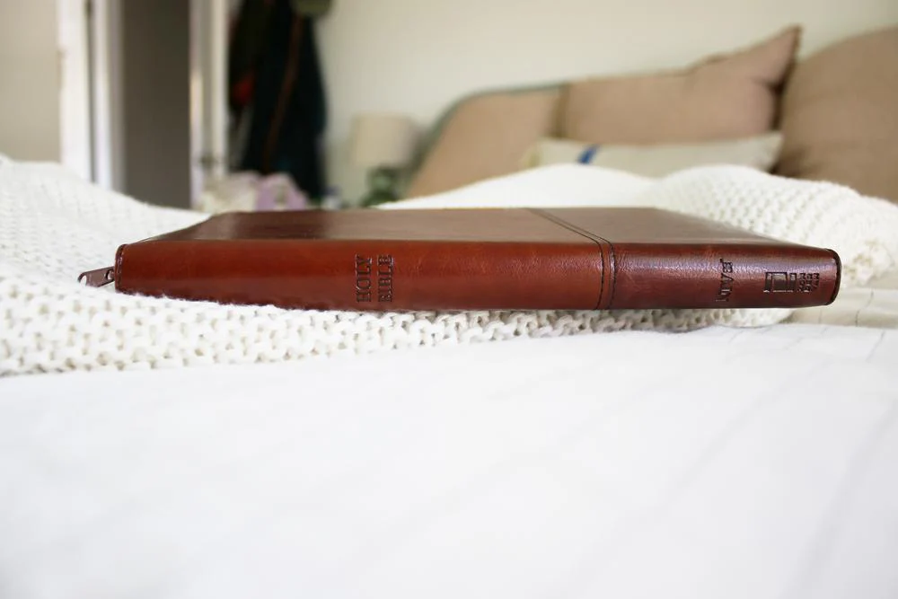 NIV, Thinline Bible, Large Print, Leathersoft, Zippered, Red Letter, Comfort Print - Image 4