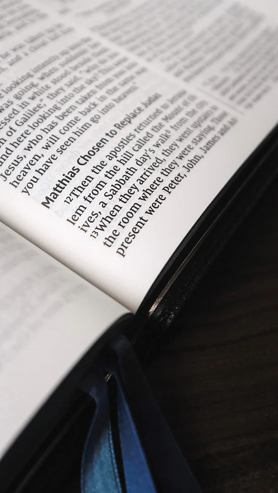 NIV, Thinline Bible, Large Print, Premier Collection, Art Gilded Edges, Comfort Print - Image 11