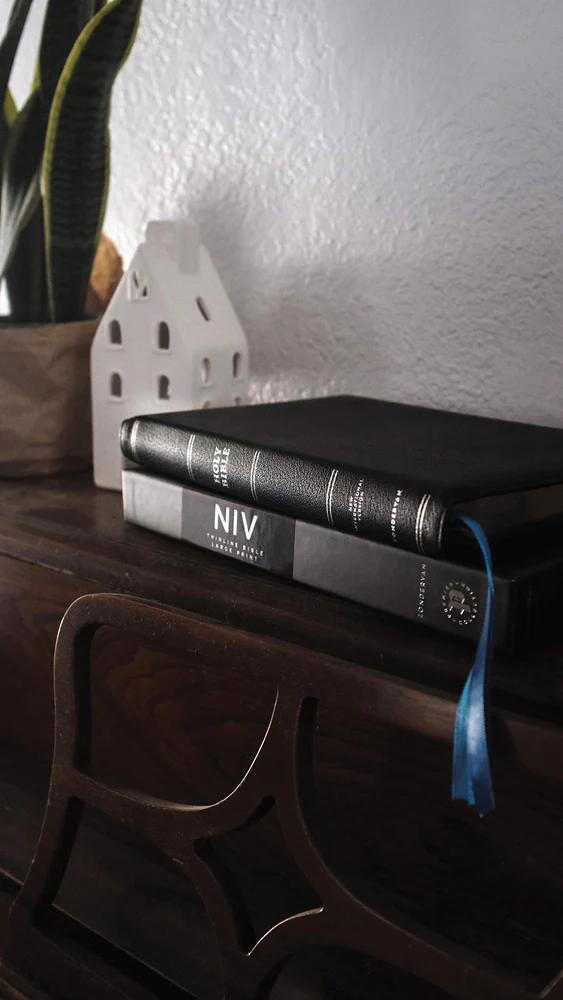 NIV, Thinline Bible, Large Print, Premier Collection, Art Gilded Edges, Comfort Print - Image 12