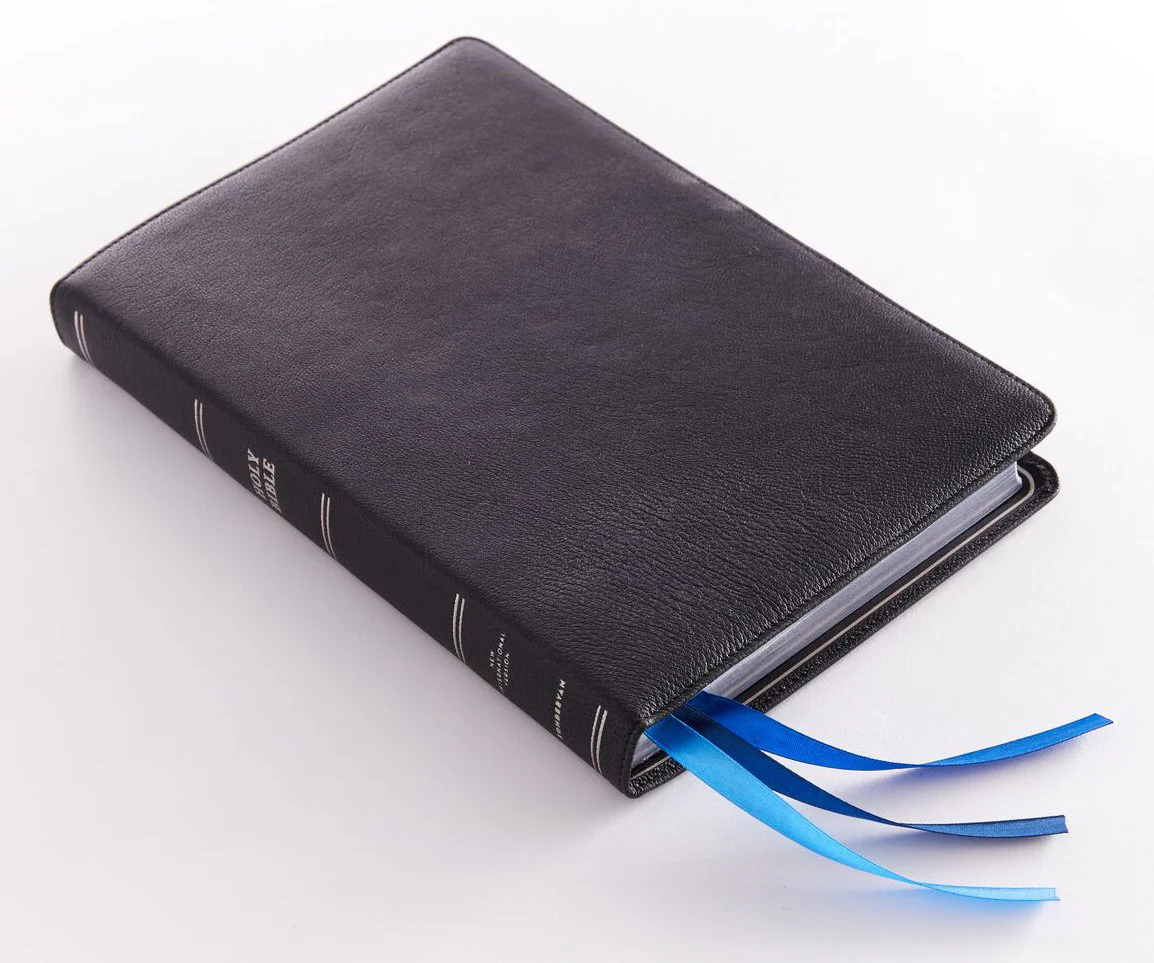 NIV, Thinline Bible, Large Print, Premier Collection, Art Gilded Edges, Comfort Print - Image 2