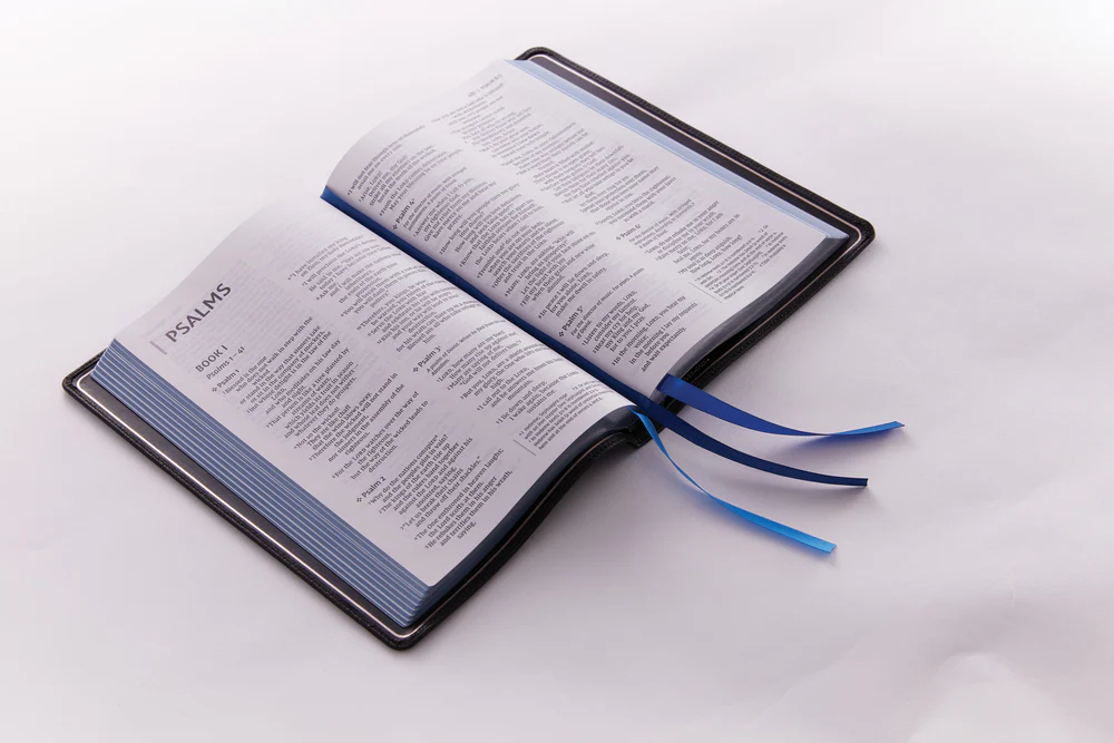 NIV, Thinline Bible, Large Print, Premier Collection, Art Gilded Edges, Comfort Print - Image 8