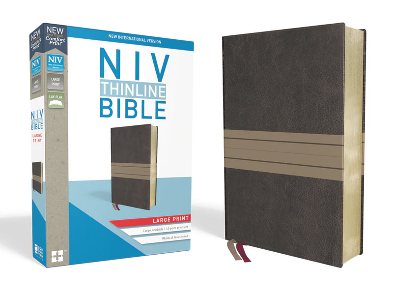 NIV, Thinline Bible, Large Print, Red Letter, Comfort Print - Image 3
