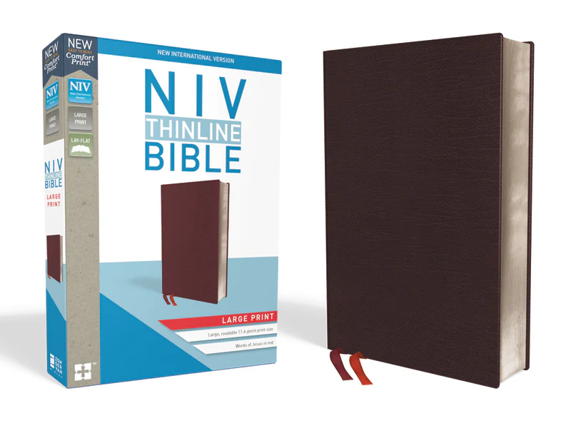 NIV, Thinline Bible, Large Print, Red Letter, Comfort Print - Image 4