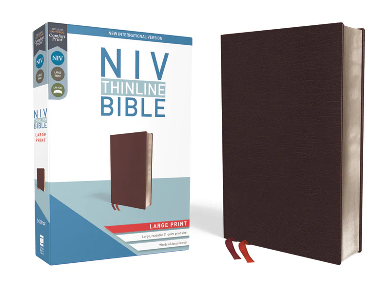 NIV, Thinline Bible, Large Print, Red Letter, Comfort Print - Image 7