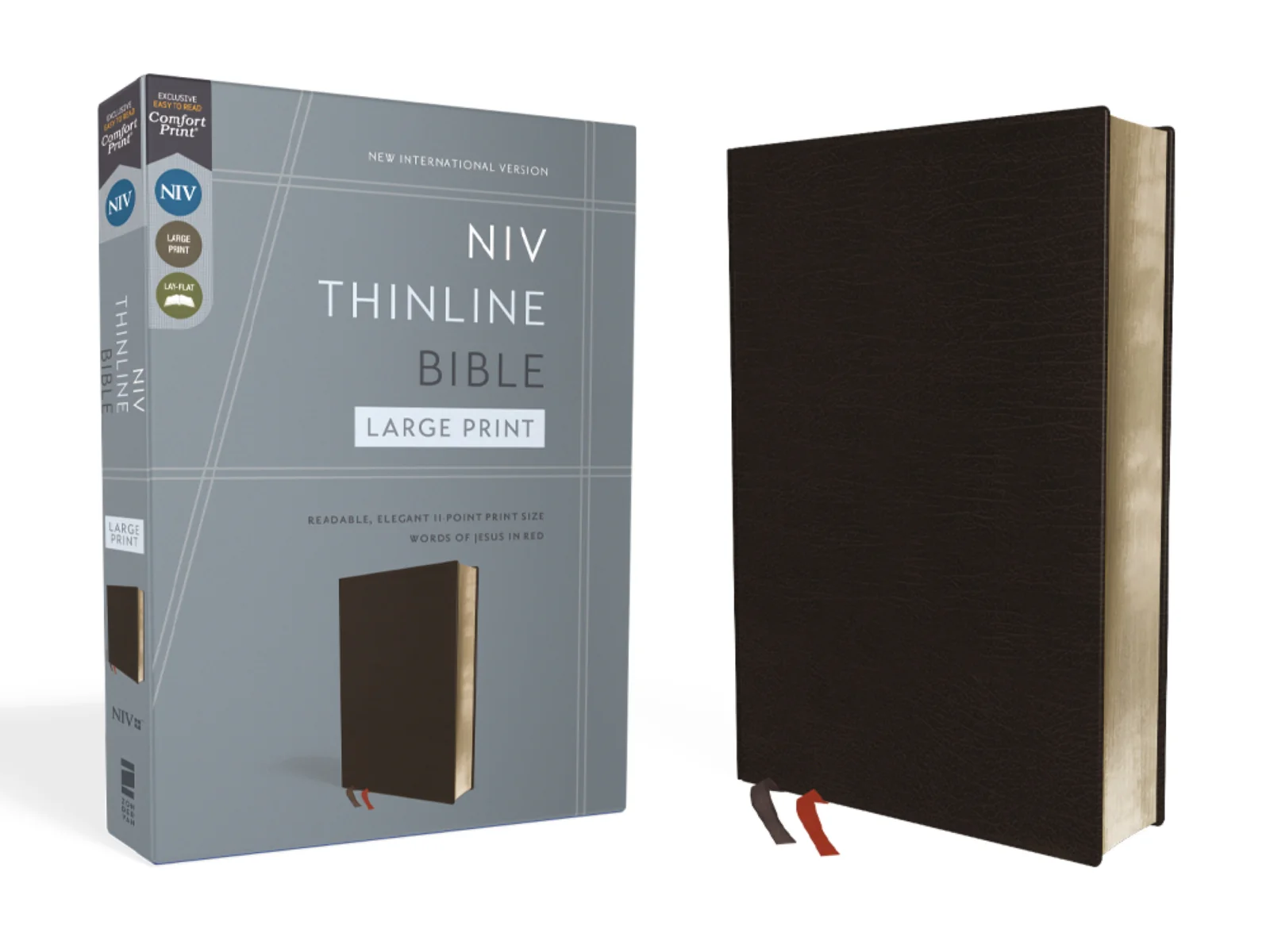 NIV, Thinline Bible, Large Print, Red Letter, Comfort Print - Image 9