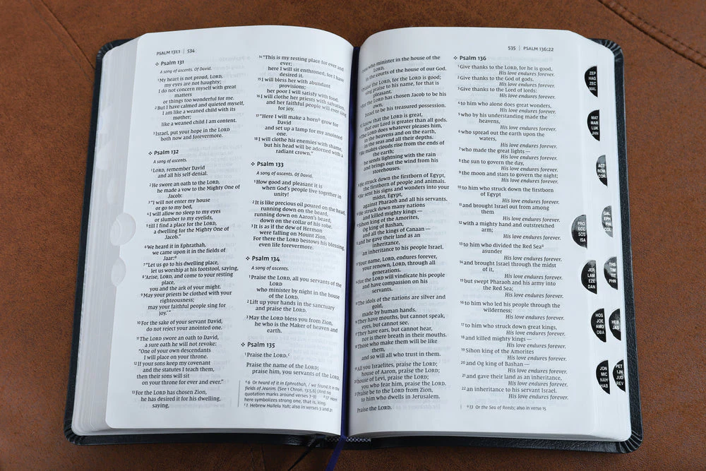 NIV, Thinline Bible, Red Letter, Comfort Print - Image 108