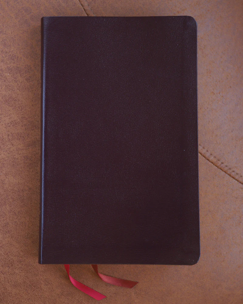 NIV, Thinline Bible, Red Letter, Comfort Print - Image 109