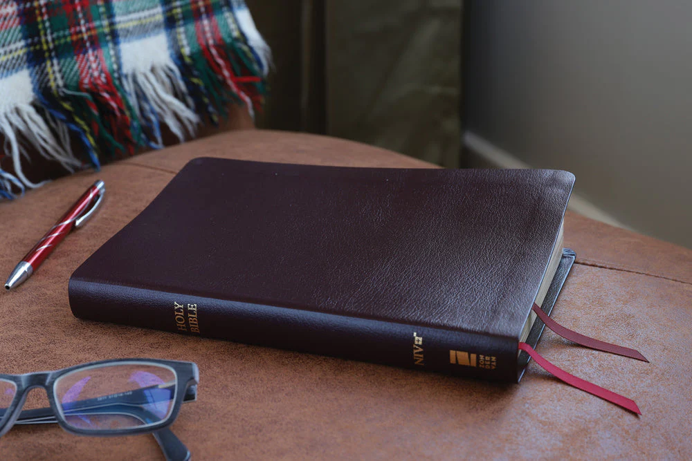 NIV, Thinline Bible, Red Letter, Comfort Print - Image 113