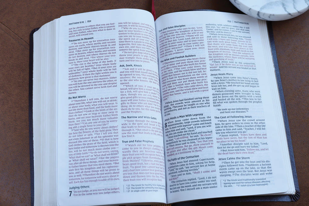 NIV, Thinline Bible, Red Letter, Comfort Print - Image 114