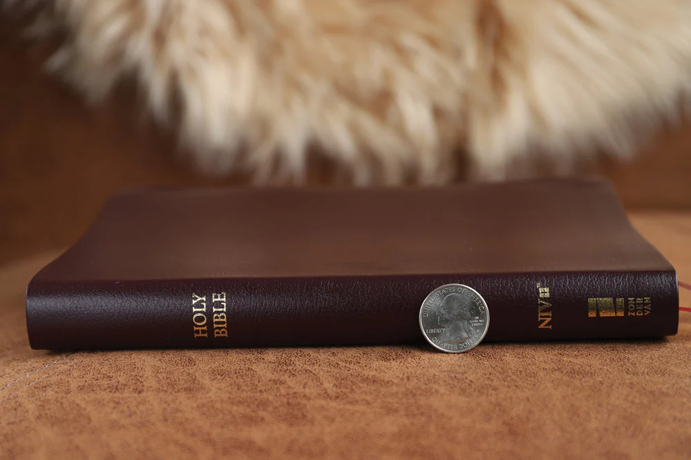 NIV, Thinline Bible, Red Letter, Comfort Print - Image 56