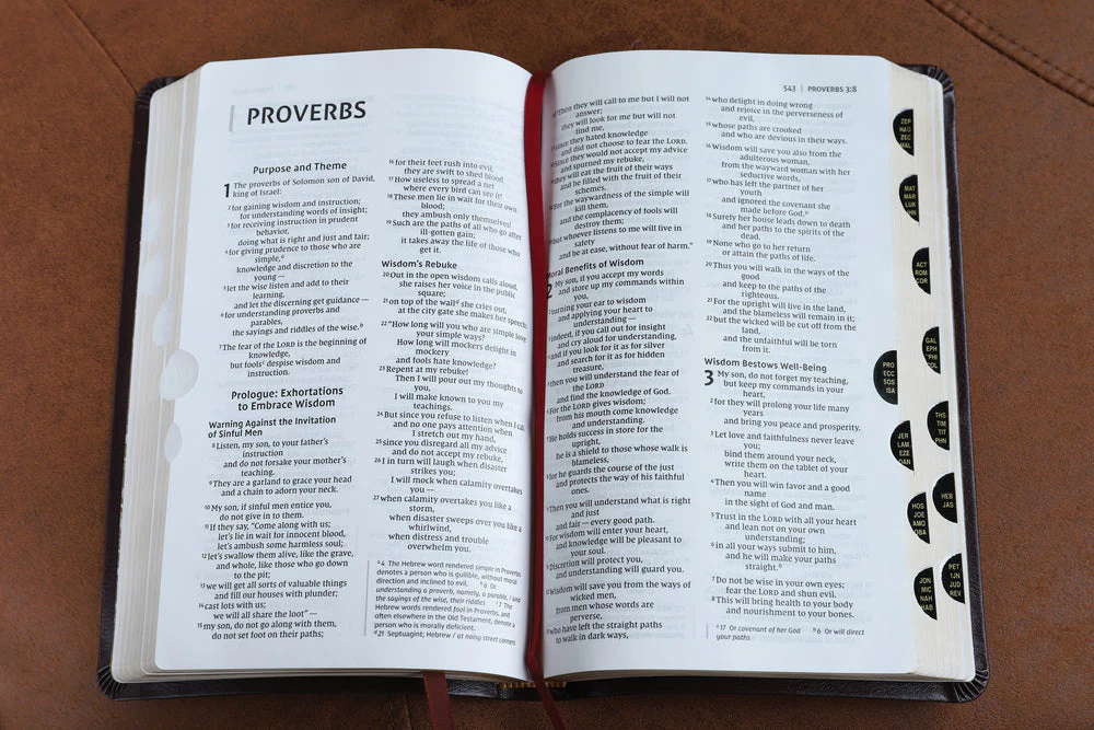 NIV, Thinline Bible, Red Letter, Comfort Print - Image 69