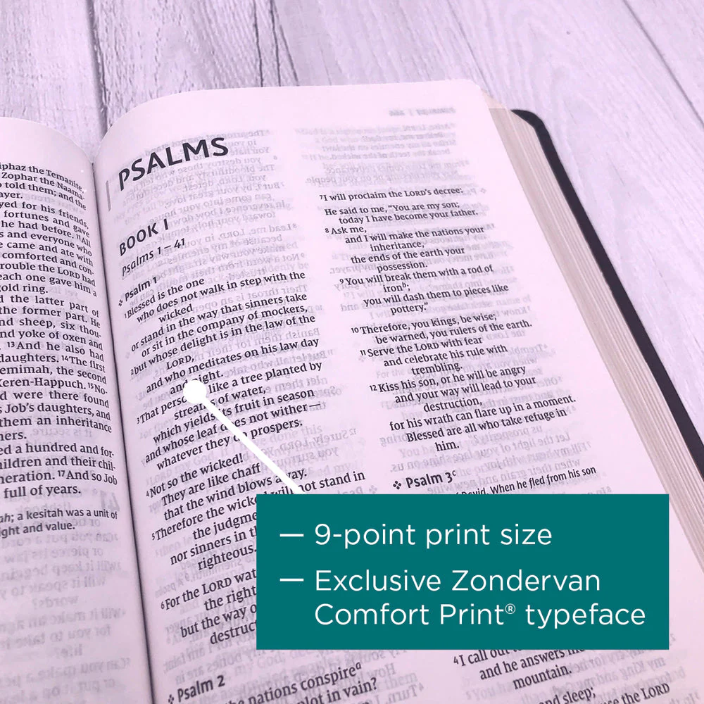 NIV, Thinline Bible, Red Letter, Comfort Print - Image 74