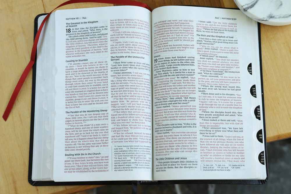 NIV, Thinline Bible, Red Letter, Comfort Print - Image 88