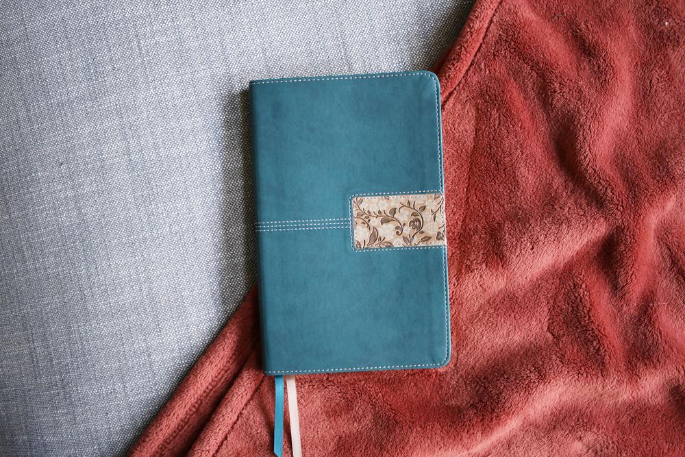 NIV, Thinline Bible, Red Letter, Comfort Print - Image 90