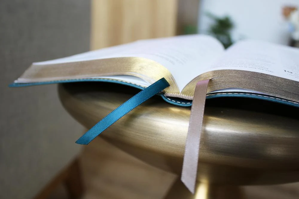 NIV, Thinline Bible, Red Letter, Comfort Print - Image 91