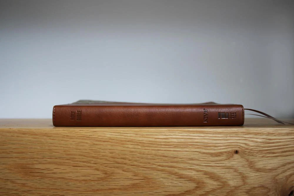 NIV, Thinline Bible, Red Letter, Comfort Print - Image 98