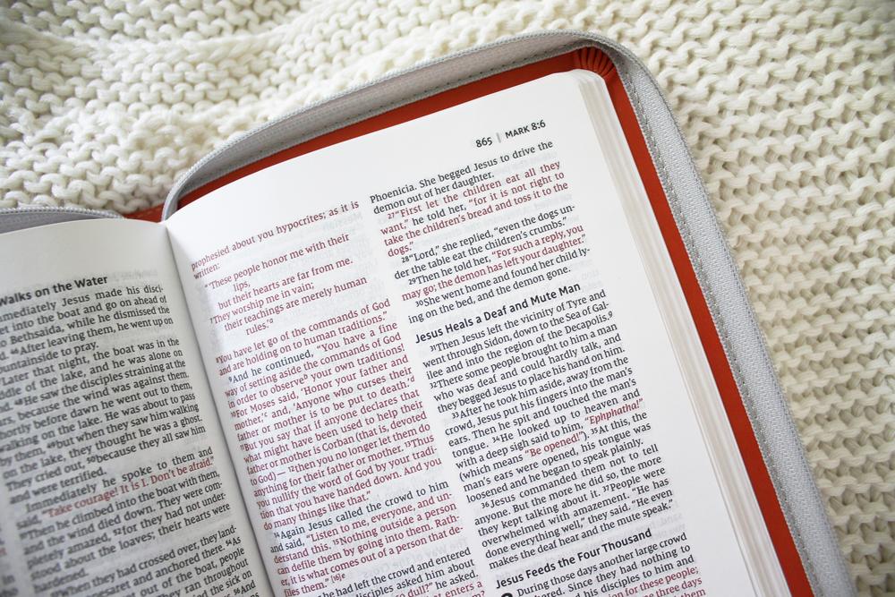 NIV, Thinline Bible, Leathersoft, Zippered, Red Letter, Comfort Print - Image 7