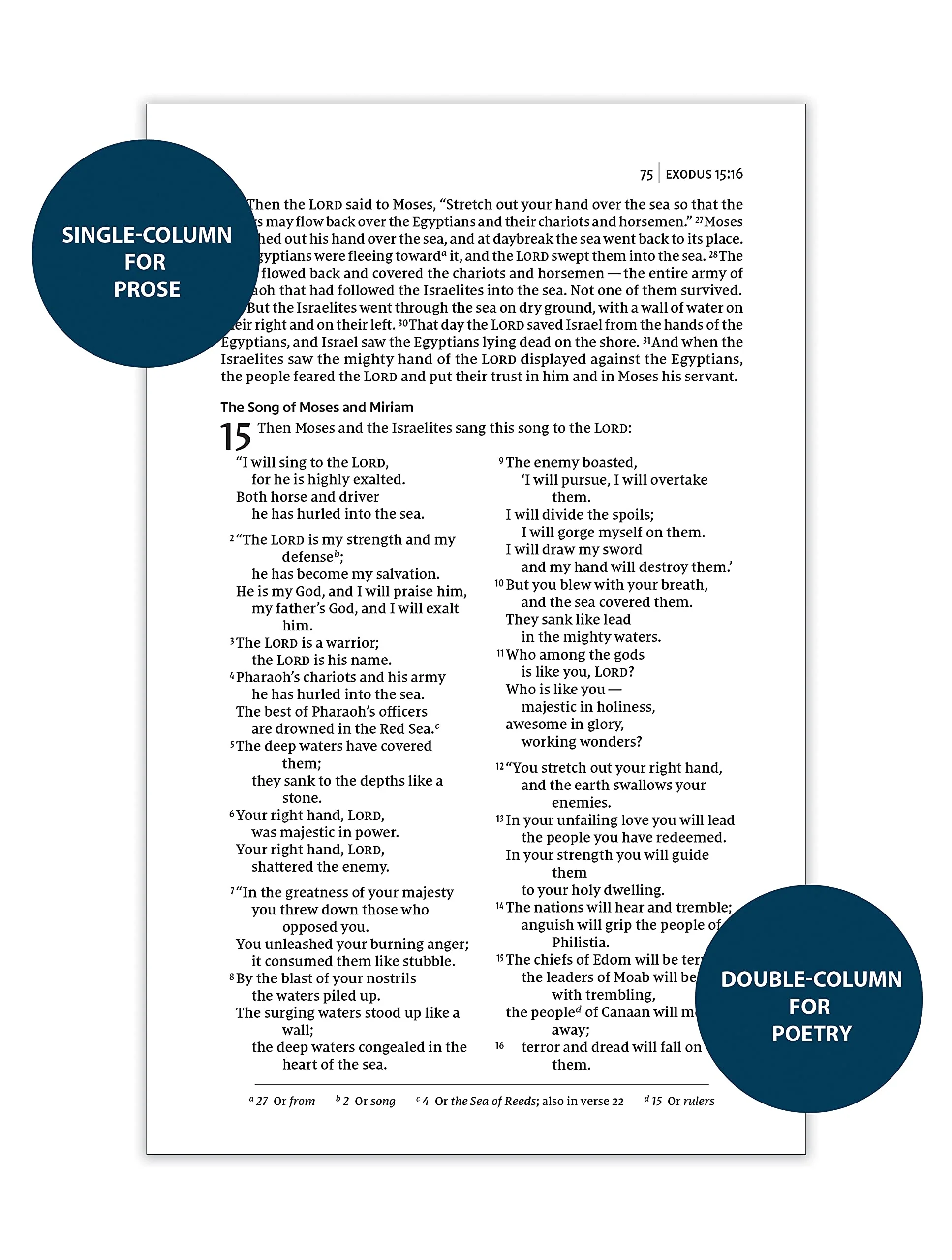 NIV, Thinline Bible, Passaggio Setting, Red Letter Edition, Comfort Print: Elegantly uniting single and double columns into one Passaggio Setting Bible design - Image 3