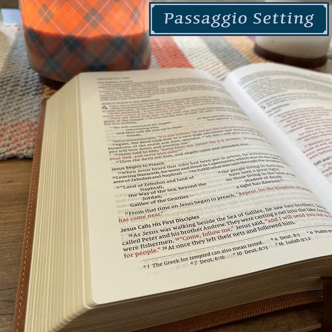 NIV, Thinline Bible, Passaggio Setting, Red Letter Edition, Comfort Print: Elegantly uniting single and double columns into one Passaggio Setting Bible design - Image 5