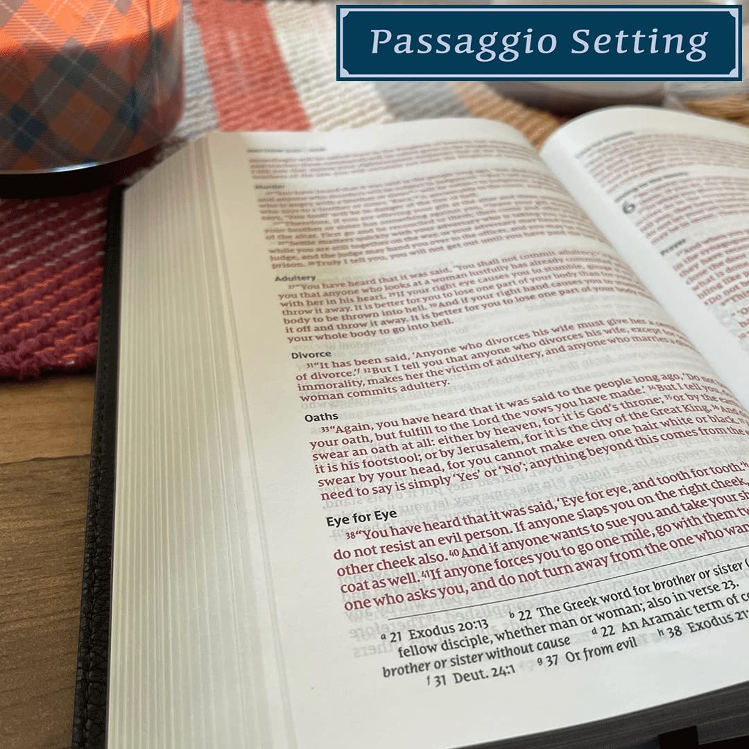 NIV, Thinline Bible, Passaggio Setting, Red Letter Edition, Comfort Print: Elegantly uniting single and double columns into one Passaggio Setting Bible design - Image 8