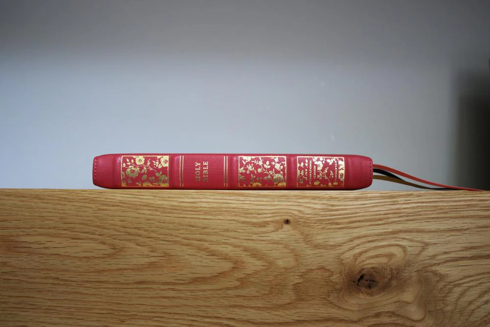 NIV, Thinline Bible, Premium Goatskin Leather, Premier Collection, Black Letter, Art Gilded Edges, Comfort Print - Image 3