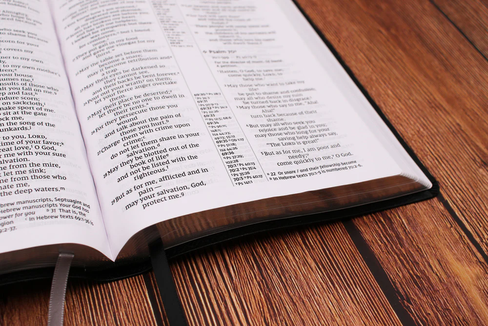NIV, Thinline Reference Bible, Large Print, Red Letter, Comfort Print - Image 14