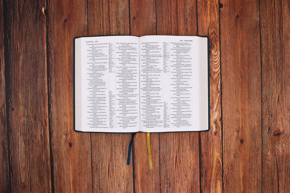 NIV, Thinline Reference Bible, Large Print, Red Letter, Comfort Print - Image 25